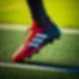 Elegant design of adidas Predator footwear