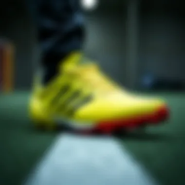 Performance Testing of adidas Predator Shoes Performance testing of adidas Predator shoes