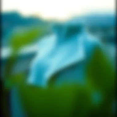 Effective solutions for managing waist fat illustrated.