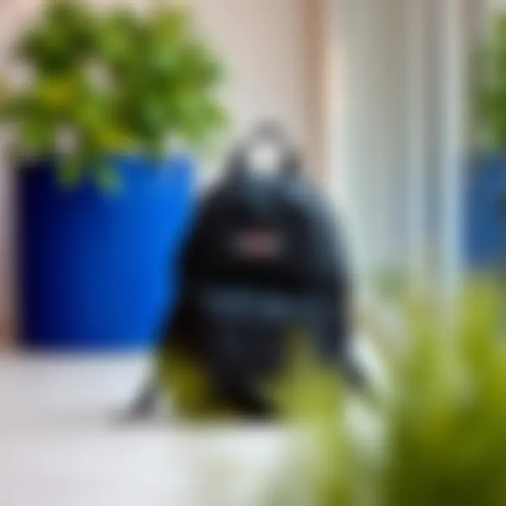 Lifestyle shot of Eastpak backpack in a healthy living environment