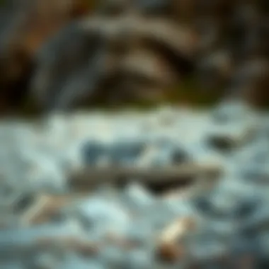 Stylish outdoor sandals on a rocky terrain