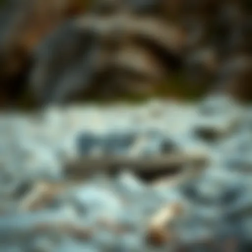 Stylish outdoor sandals on a rocky terrain