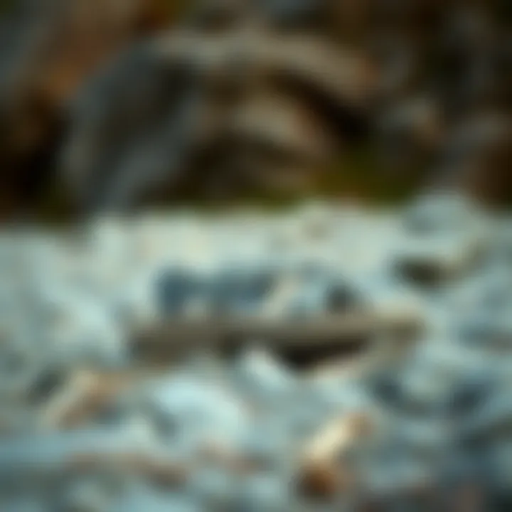 Stylish outdoor sandals on a rocky terrain