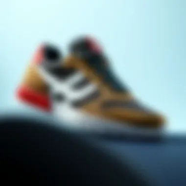 Design Evolution of S Brand Sneakers Illustration showcasing design evolution of S brand sneakers
