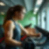 Diverse training programs for fitness enthusiasts