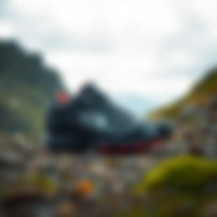 Practical care tips for maintaining The North Face sports shoes