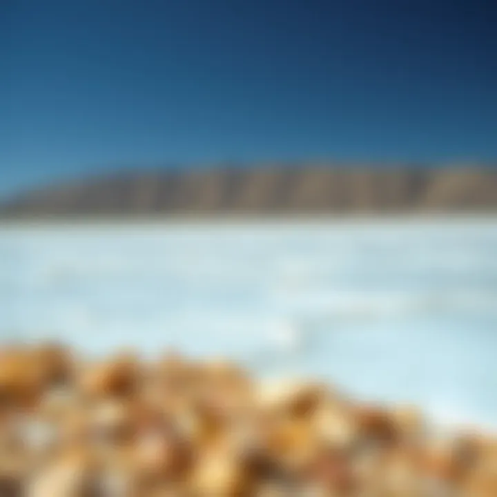 A serene landscape featuring natural salt flats, representing the natural sources of salt and its role in our diet.