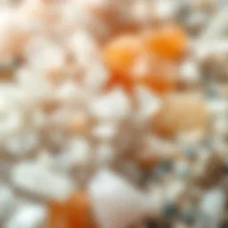 A close-up view of different types of salt crystals highlighting their unique textures and colors, symbolizing the variety in salt usage.